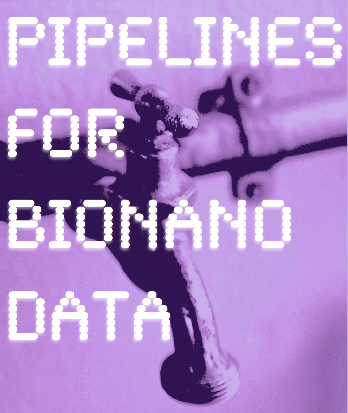 Pipelines for BioNano data